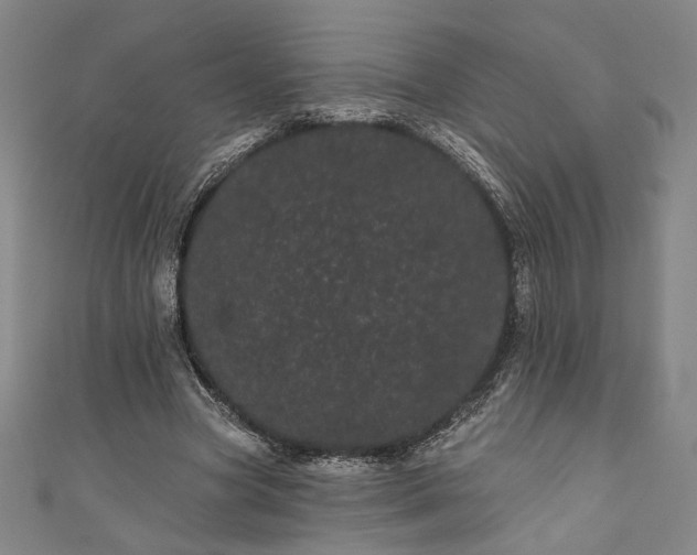 X0000111460537200907271253