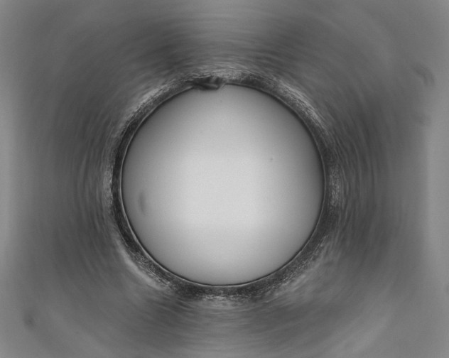 X0000111460538200907271253