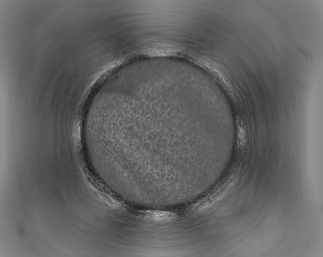 X0000111460539200907271253