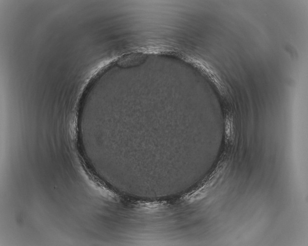 X0000111460540200907271253