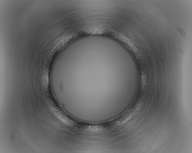 X0000111460541200907271253