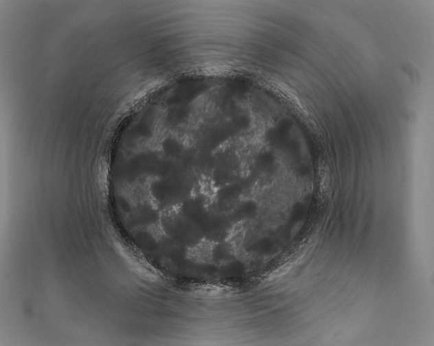 X0000111460542200907271253