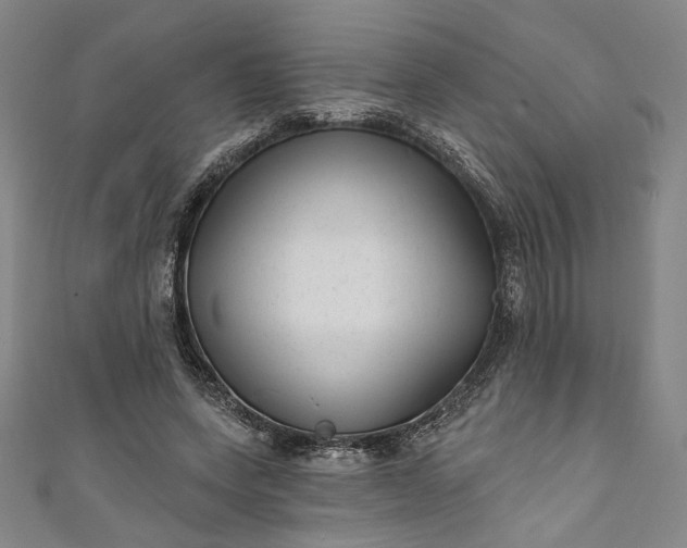 X0000111460543200907271253