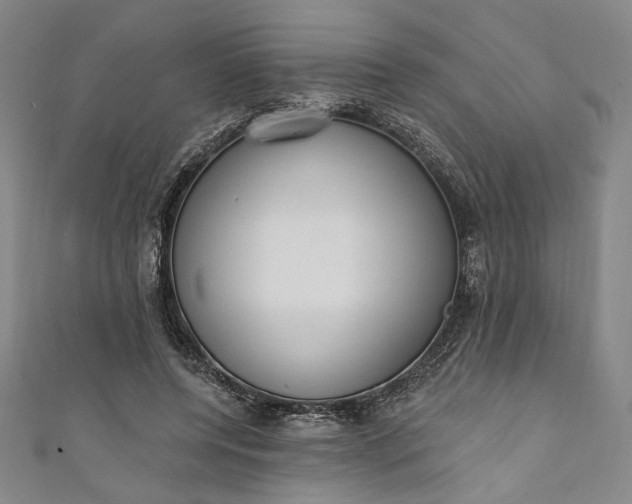 X0000111460544200907271253