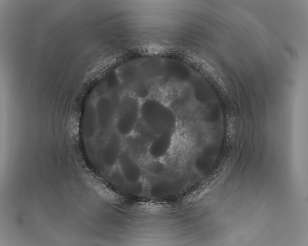 X0000111460545200907271253