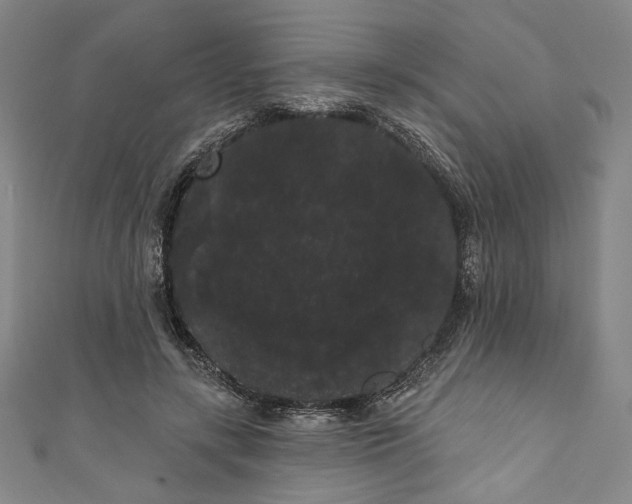 X0000111460547200907271253