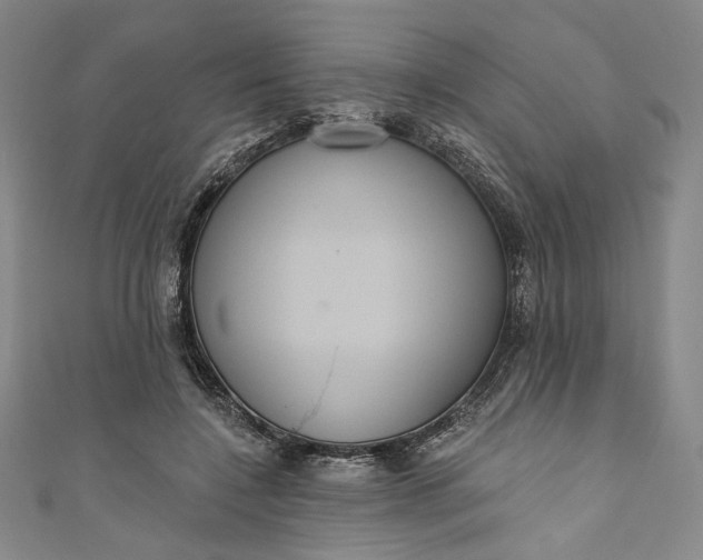 X0000111460548200907271253