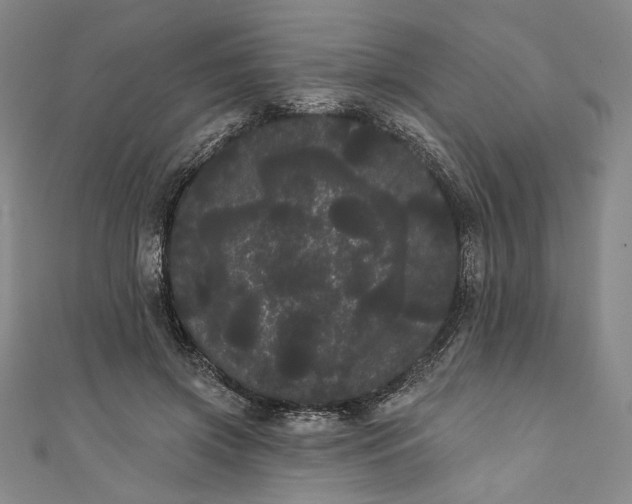 X0000111460549200907271253