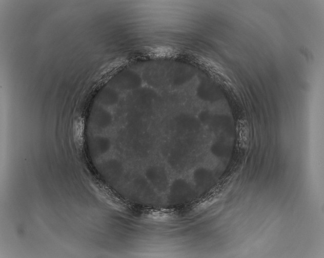 X0000111460550200907271253