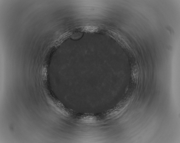 X0000111460551200907271253