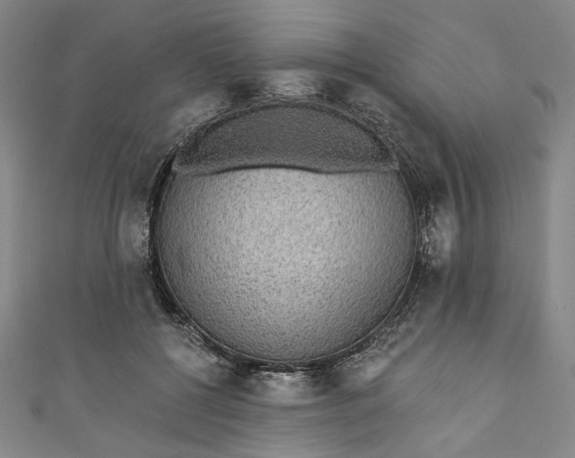 X0000111460552200907271253