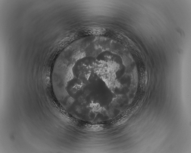 X0000111460553200907271253