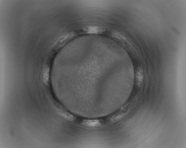 X0000111460554200907271253