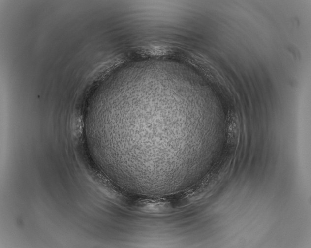 X0000111460555200907271253