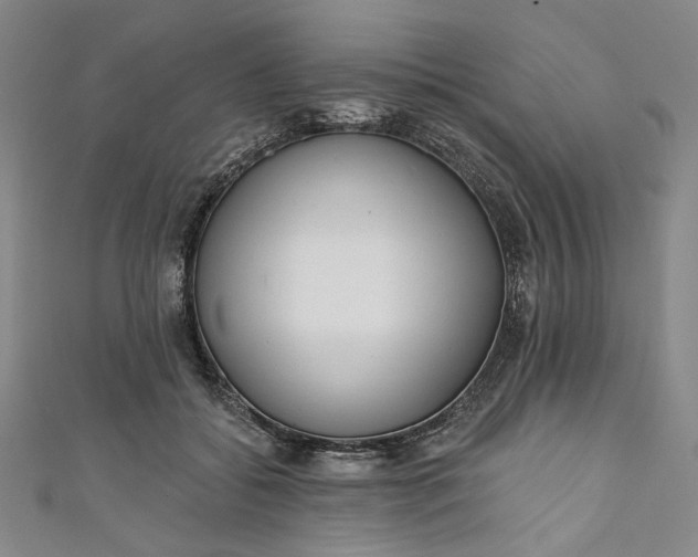 X0000111460556200907271253