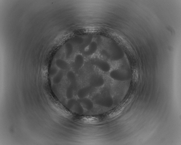 X0000111460557200907271253