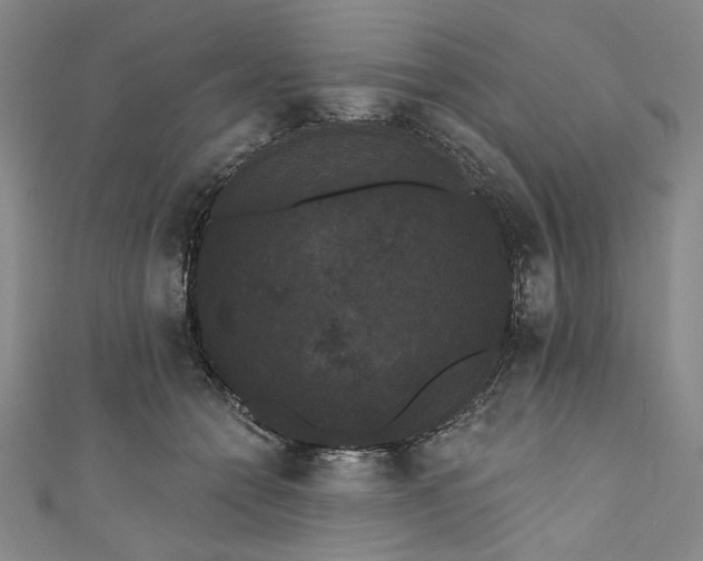 X0000111460558200907271253