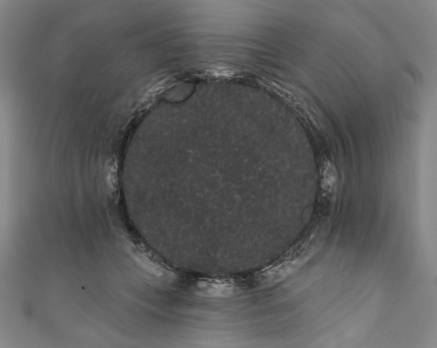 X0000111460559200907271253