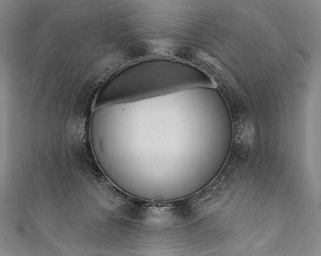 X0000111460560200907271253