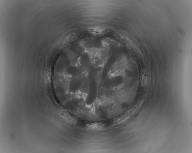 X0000111460561200907271253