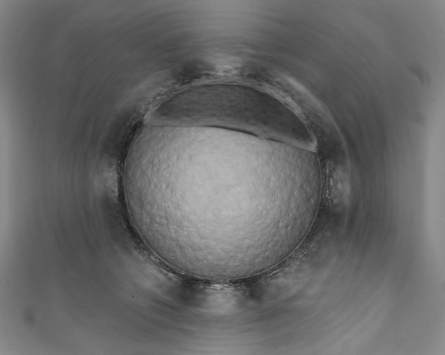 X0000111460562200907271253