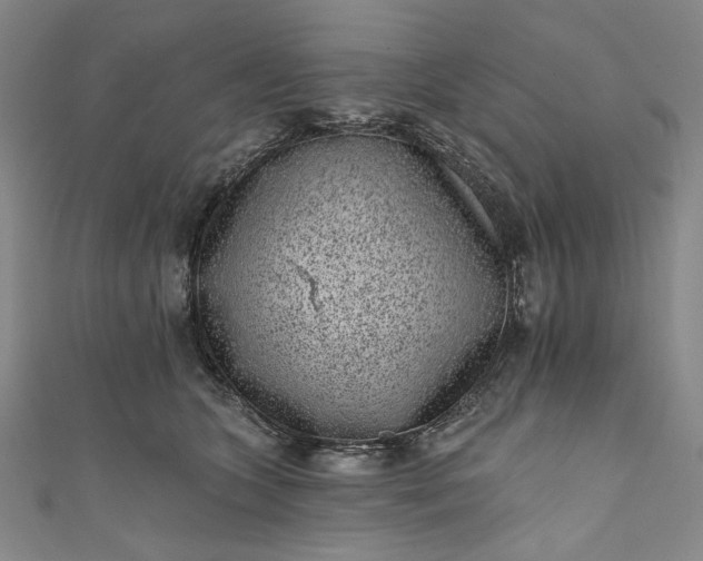 X0000111460563200907271253