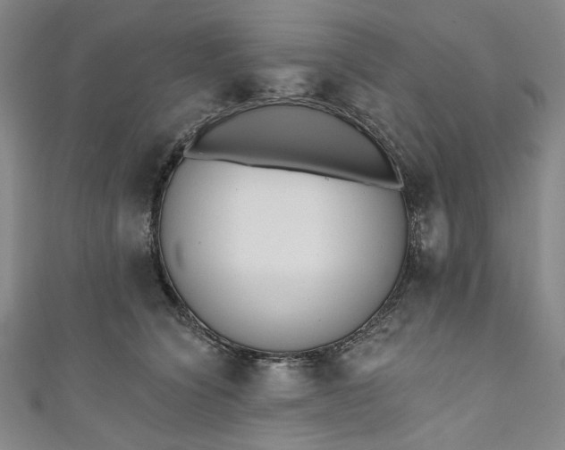 X0000111460564200907271253