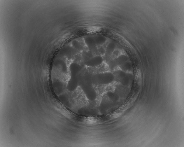 X0000111460565200907271253