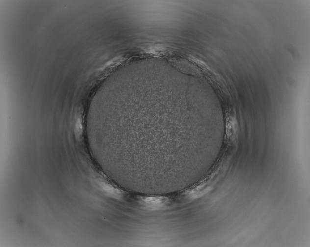 X0000111460566200907271253