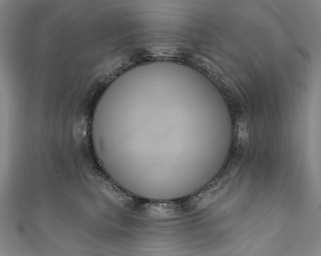 X0000111460567200907271253