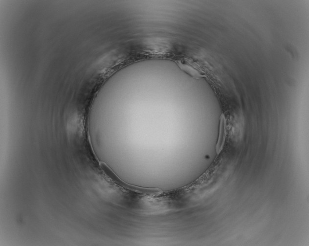 X0000111460568200907271254