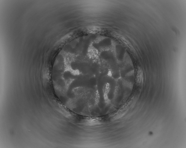 X0000111460569200907271254