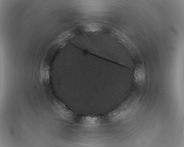 X0000111460570200907271254