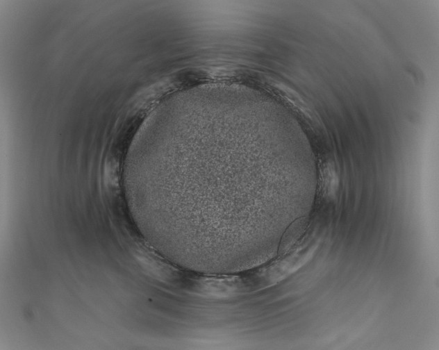 X0000111460571200907271254