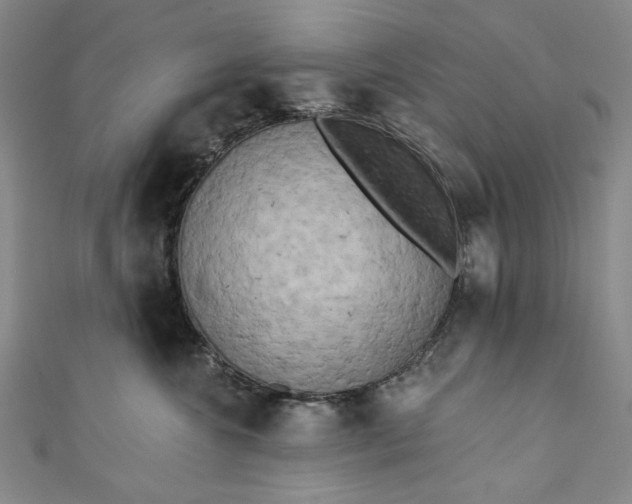 X0000111460572200907271254