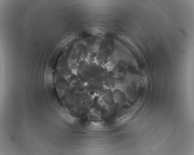 X0000111460573200907271254