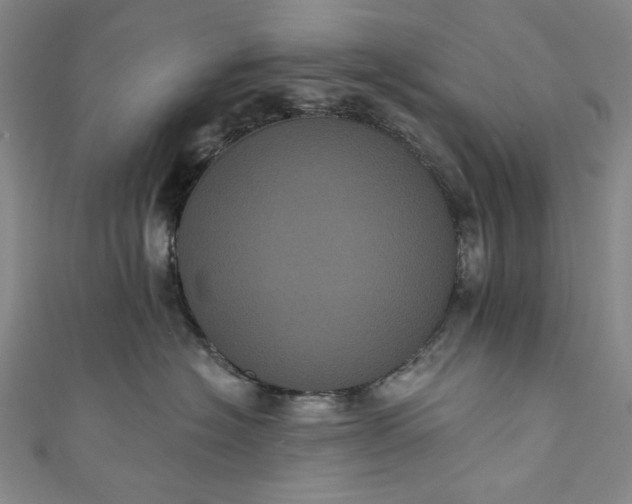 X0000111460574200907271254