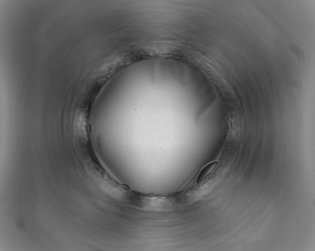 X0000111460575200907271254