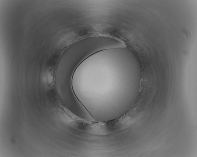 X0000111460576200907271254