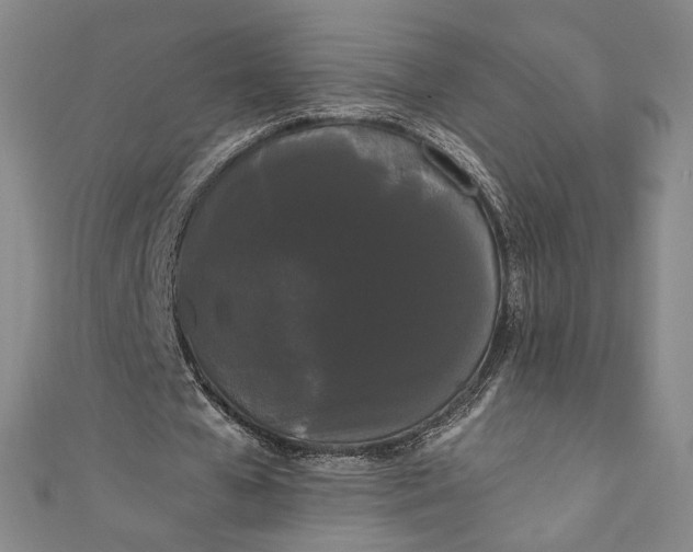 X0000111460577200907271253