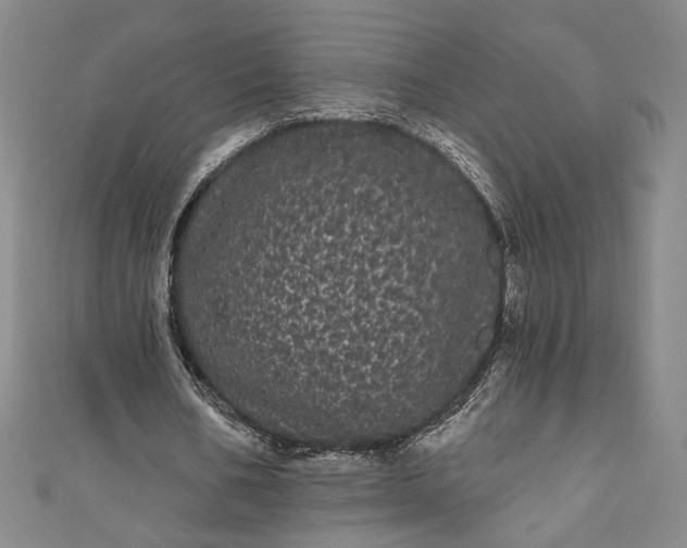 X0000111460578200907271253