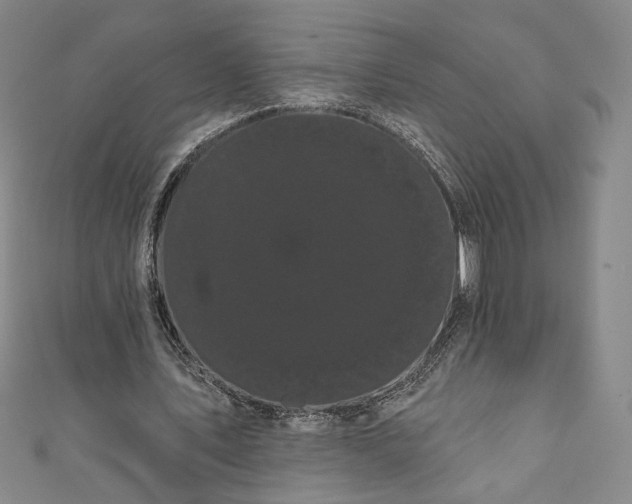 X0000111460579200907271253