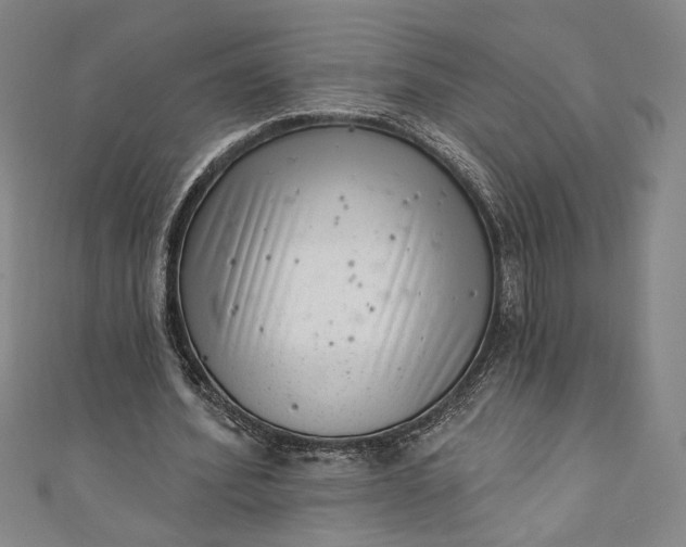 X0000111460580200907271253