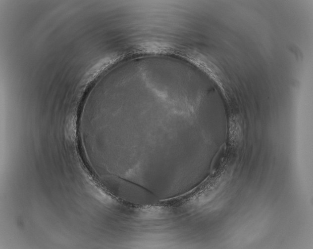 X0000111460581200907271253