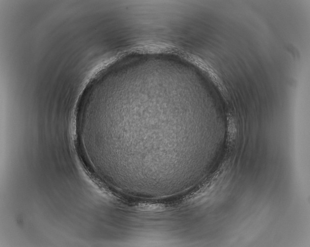 X0000111460582200907271253