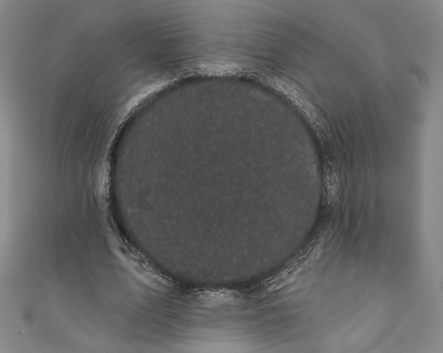 X0000111460583200907271253