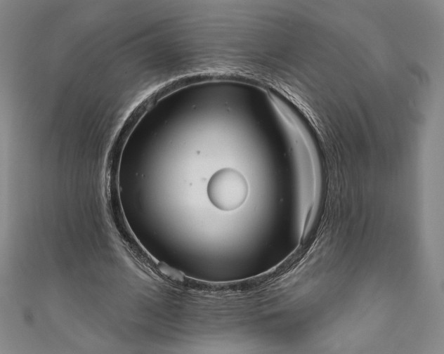 X0000111460584200907271253