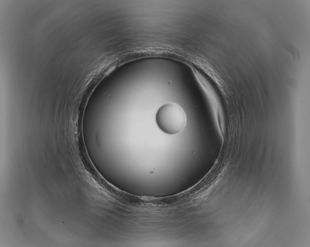 X0000111460585200907271253