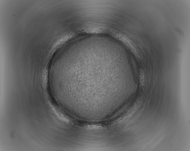 X0000111460586200907271253