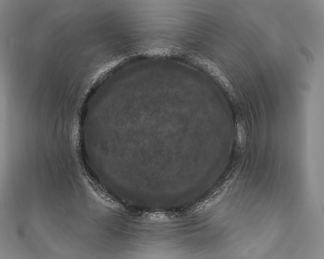 X0000111460588200907271253